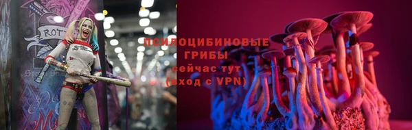 герыч Алексин