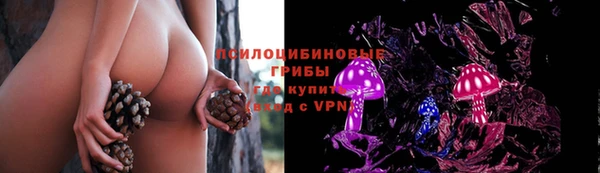 герыч Алексин
