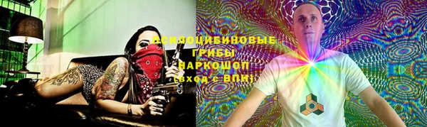крисы Алзамай