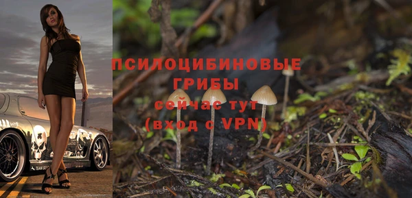 крисы Алзамай
